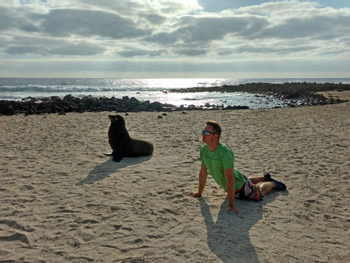 Lobería Beach Tour 